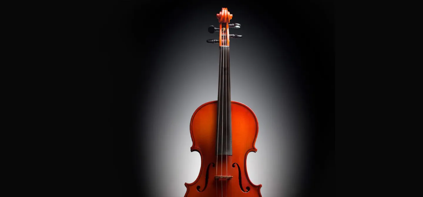 Шедевры Вивальди. Симфонический оркестр